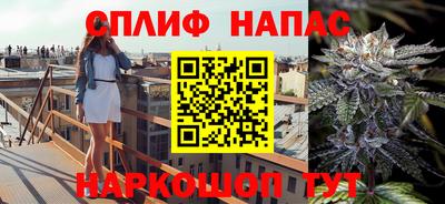гидра Рыбинск