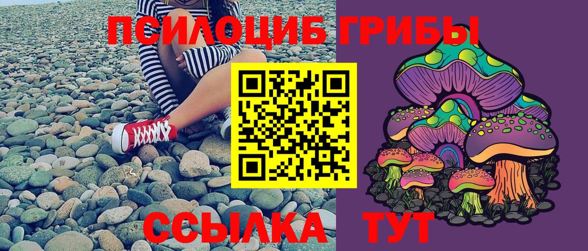 Галлюциногенные грибы Psilocybe  Вход с VPN  Галлюциногенные грибы Magic Shrooms  Углич 